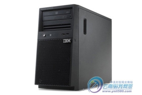 ֤ݰȫ IBM System x3100