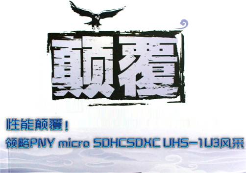 PNY micro SDHC/SDXC UHS-1 U3 