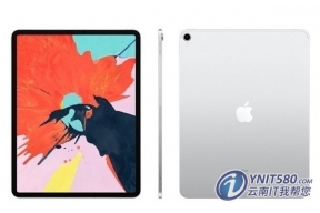 Apple iPad Pro 12.9Ӣ256G1Ԫ